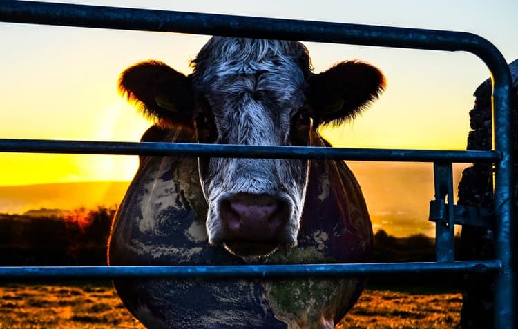 Digital Nomads and their eating habits